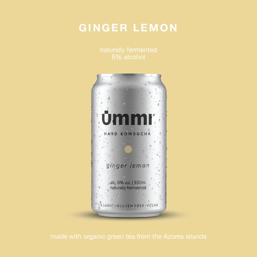 Lemon Ginger 6% ABV - 6 Pack: Lemon Ginger  - Single can