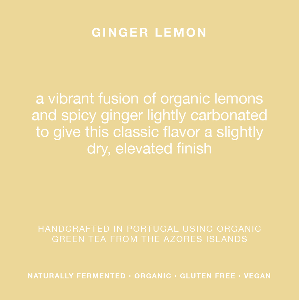Lemon Ginger 6% ABV - 6 Pack: Lemon Ginger  - Single can