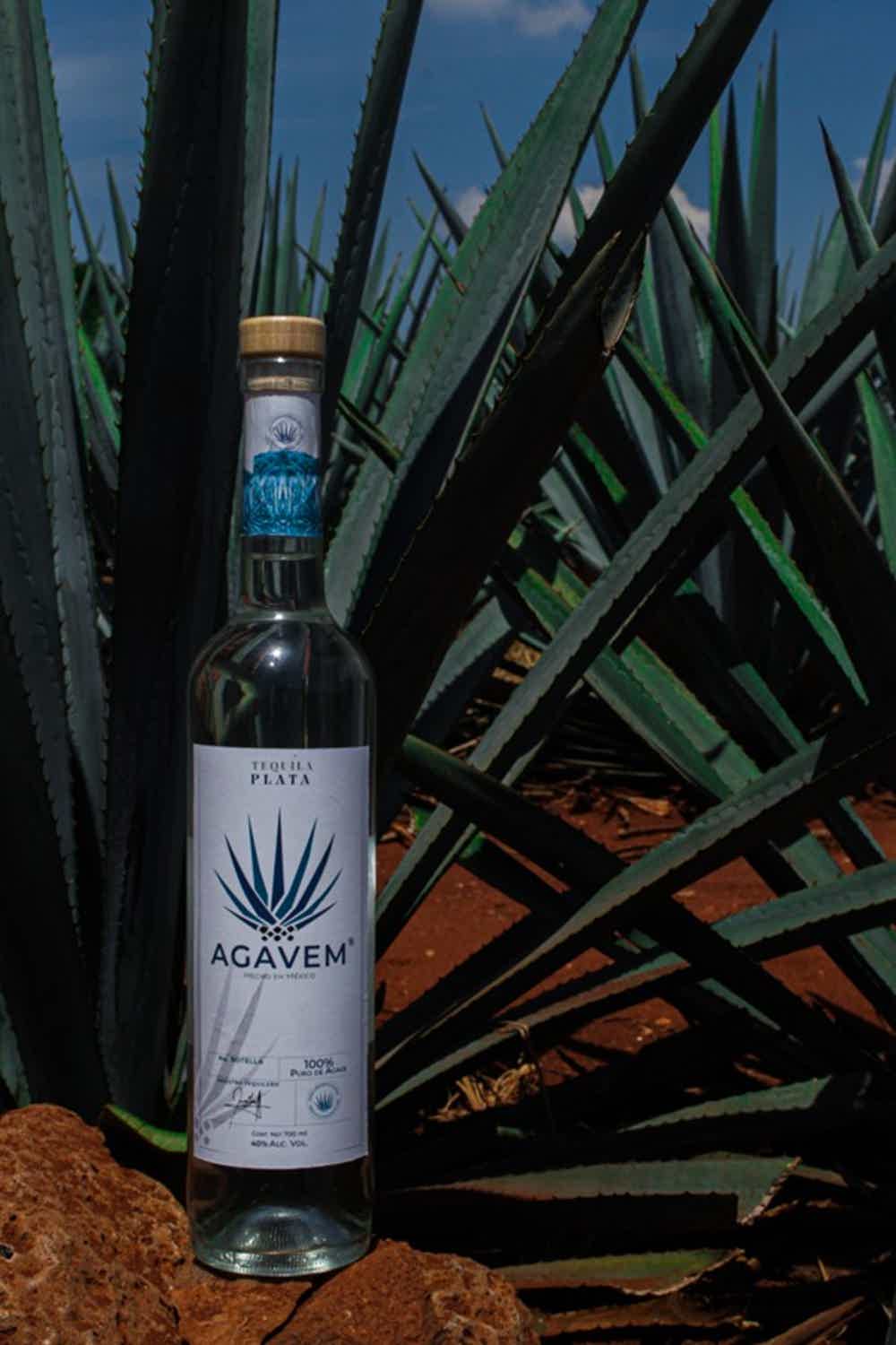 Tequila Agavem Blanco 40.0% 0.7L, Spirits