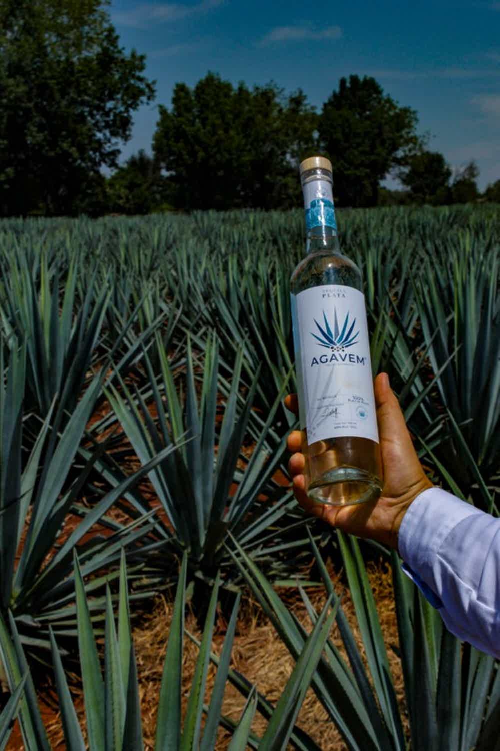 Tequila Agavem Blanco 40.0% 0.7L, Spirits