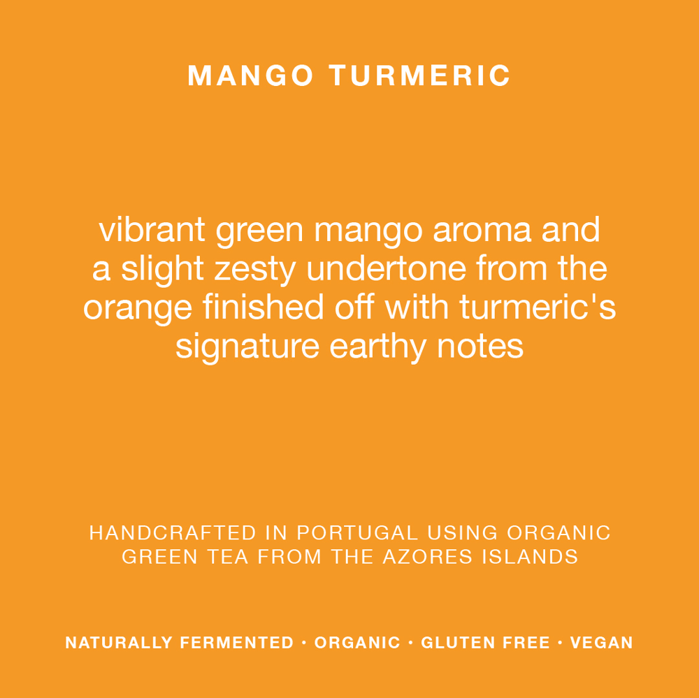 Mango Turmeric 6% ABV - 6 Pack: Mango Turmeric - Single Can