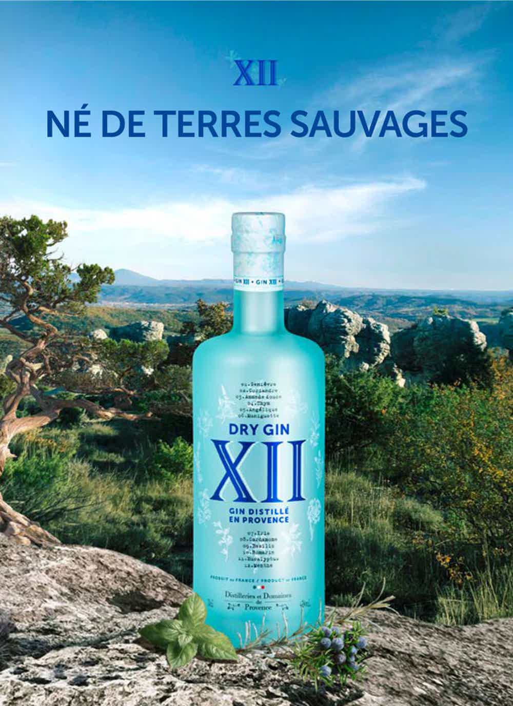 Dry Gin XII Distillé en Provence 42.0% 0.7L, Spirits