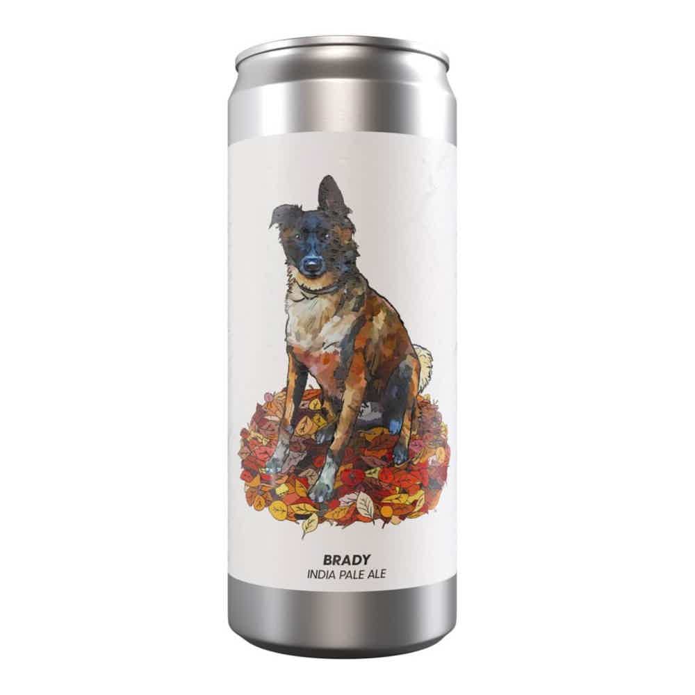 Brewski Brady IPA 0,33l 6.0% 0.33L, Beer