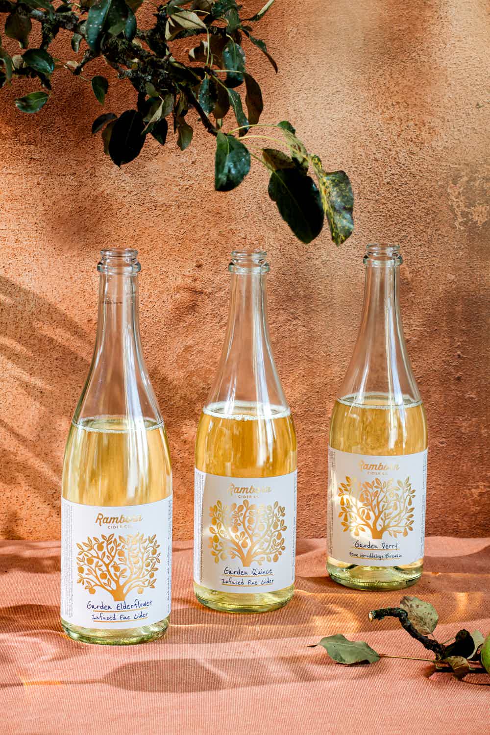 Garden Discovery 3 Pack: Garden Perry, Garden Quince, Garden Elderflower