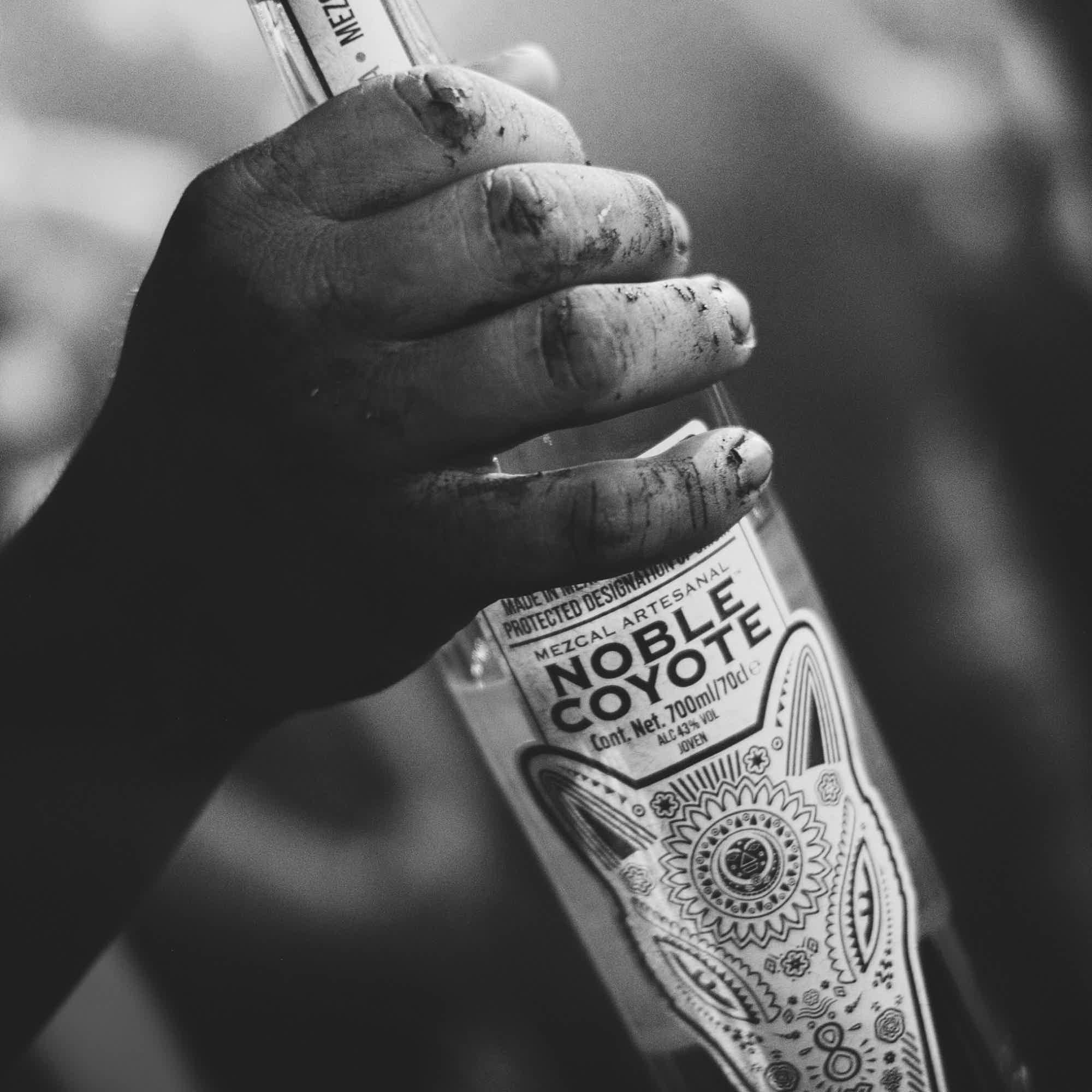 Mezcal Noble Coyote | Espadín | 70cl  43% vol 43.0% 0.7L, Spirits