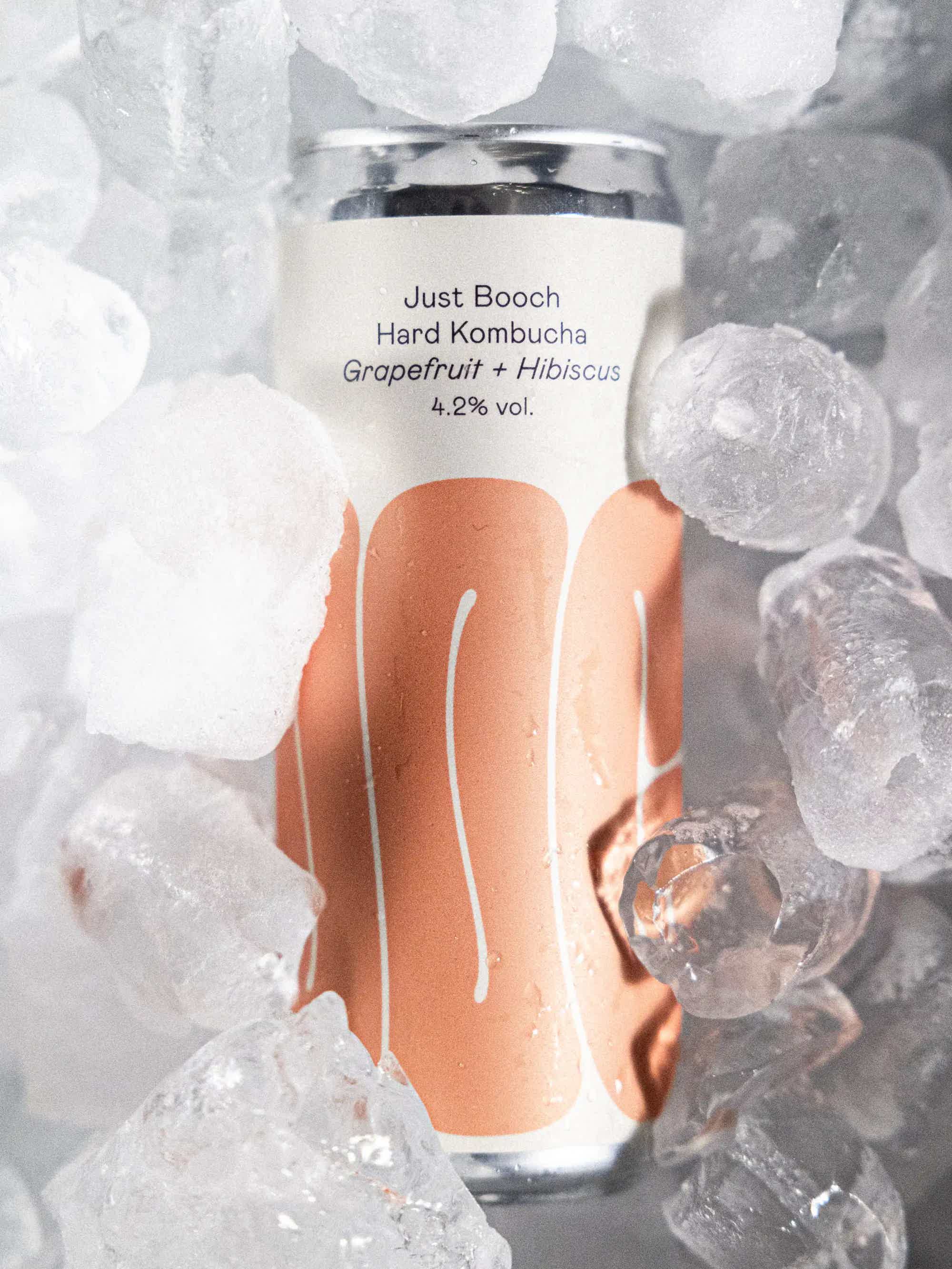 Grapefruit+Hibiscus | 24 pack: Just Booch Grapefruit + Hibiscus