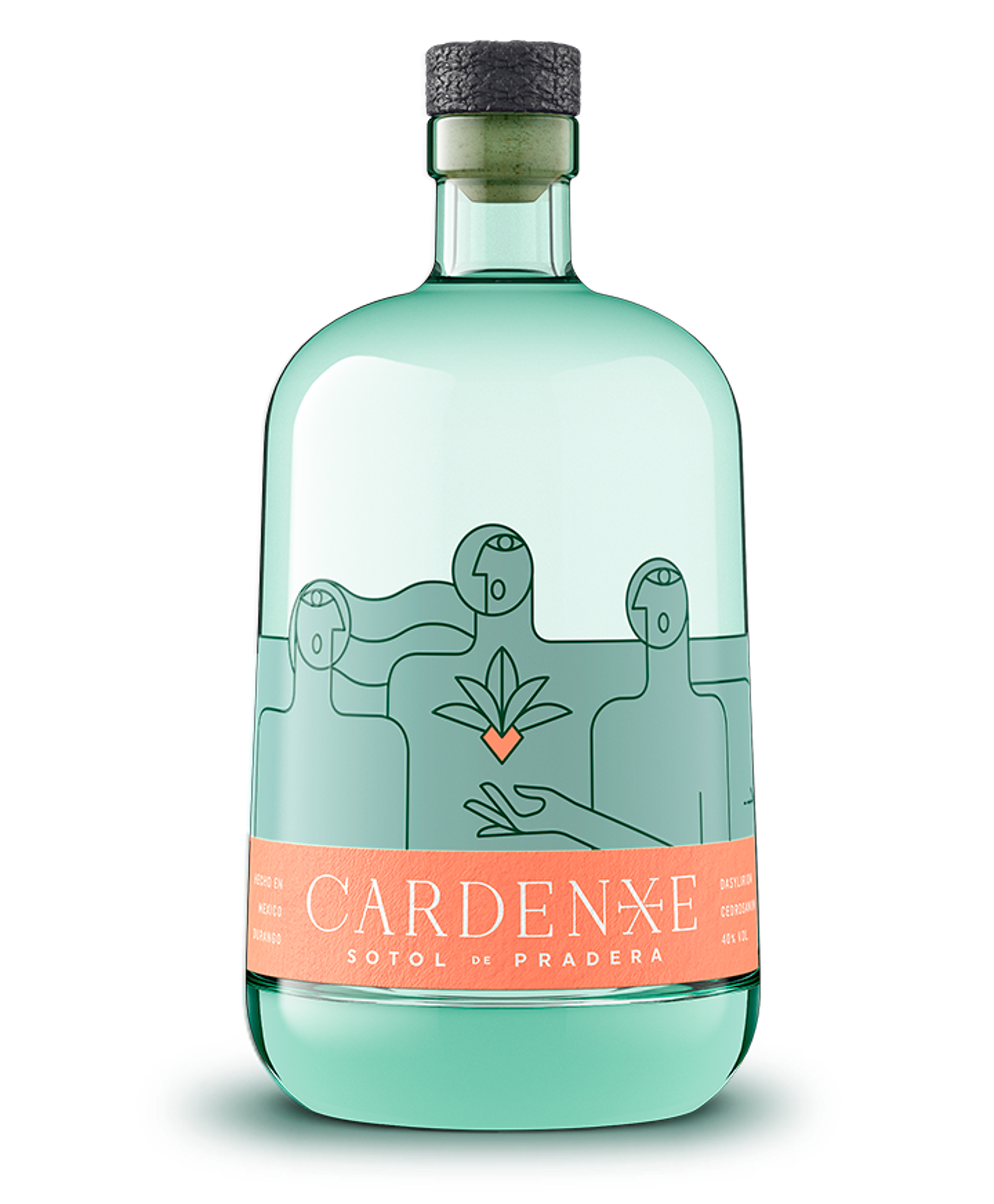 Cardenxe Sotol De Pradera 40.0% 0.7L, Spirits
