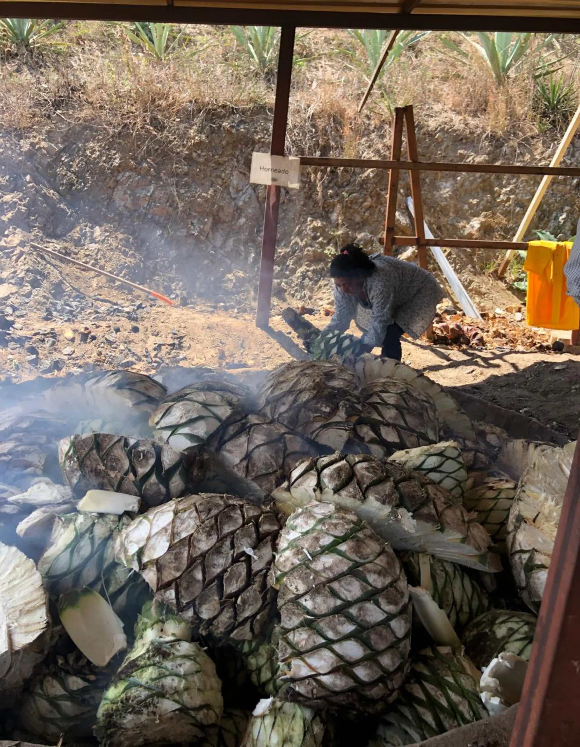 Artesanal Ensamble Endemico Destilado de Agave Tradicional 50.2% 0.7L, Spirits