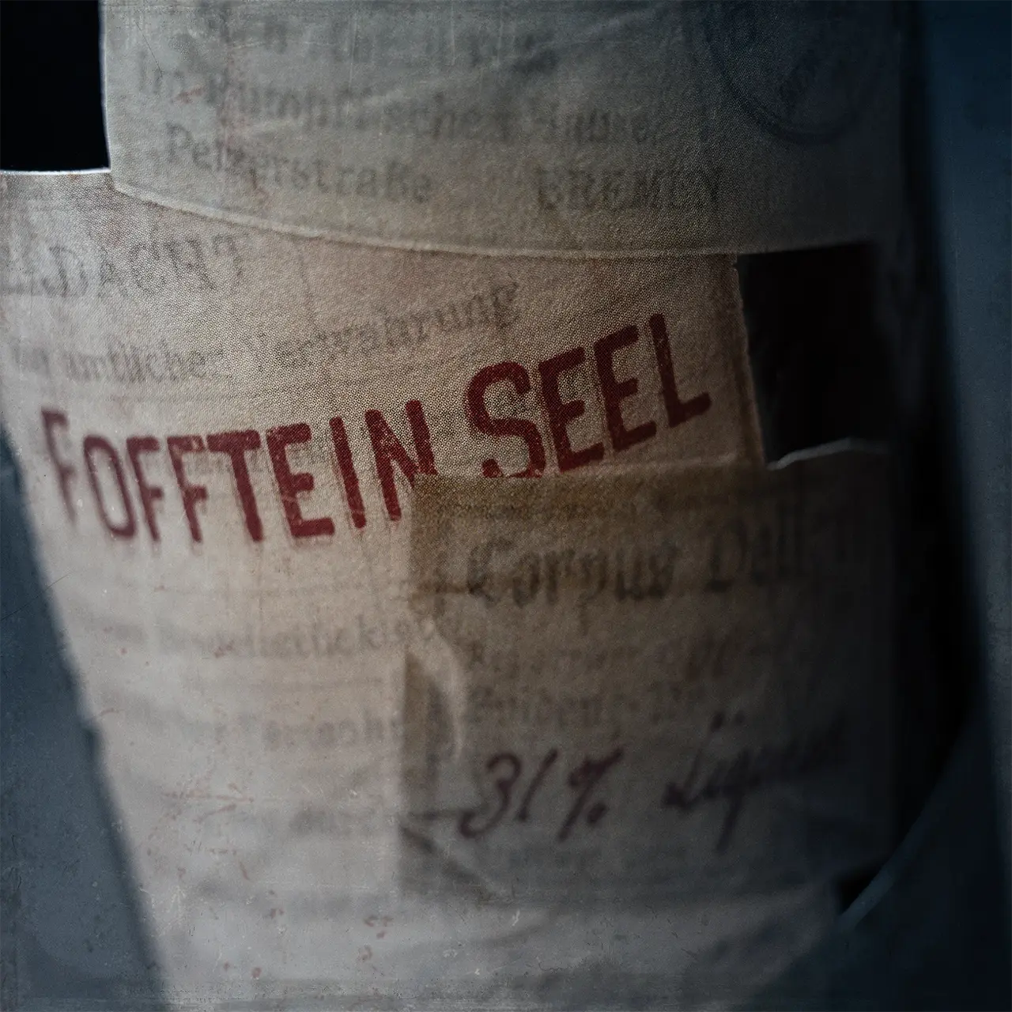 Fofftein Seel 31.0% 0.7L, Spirits