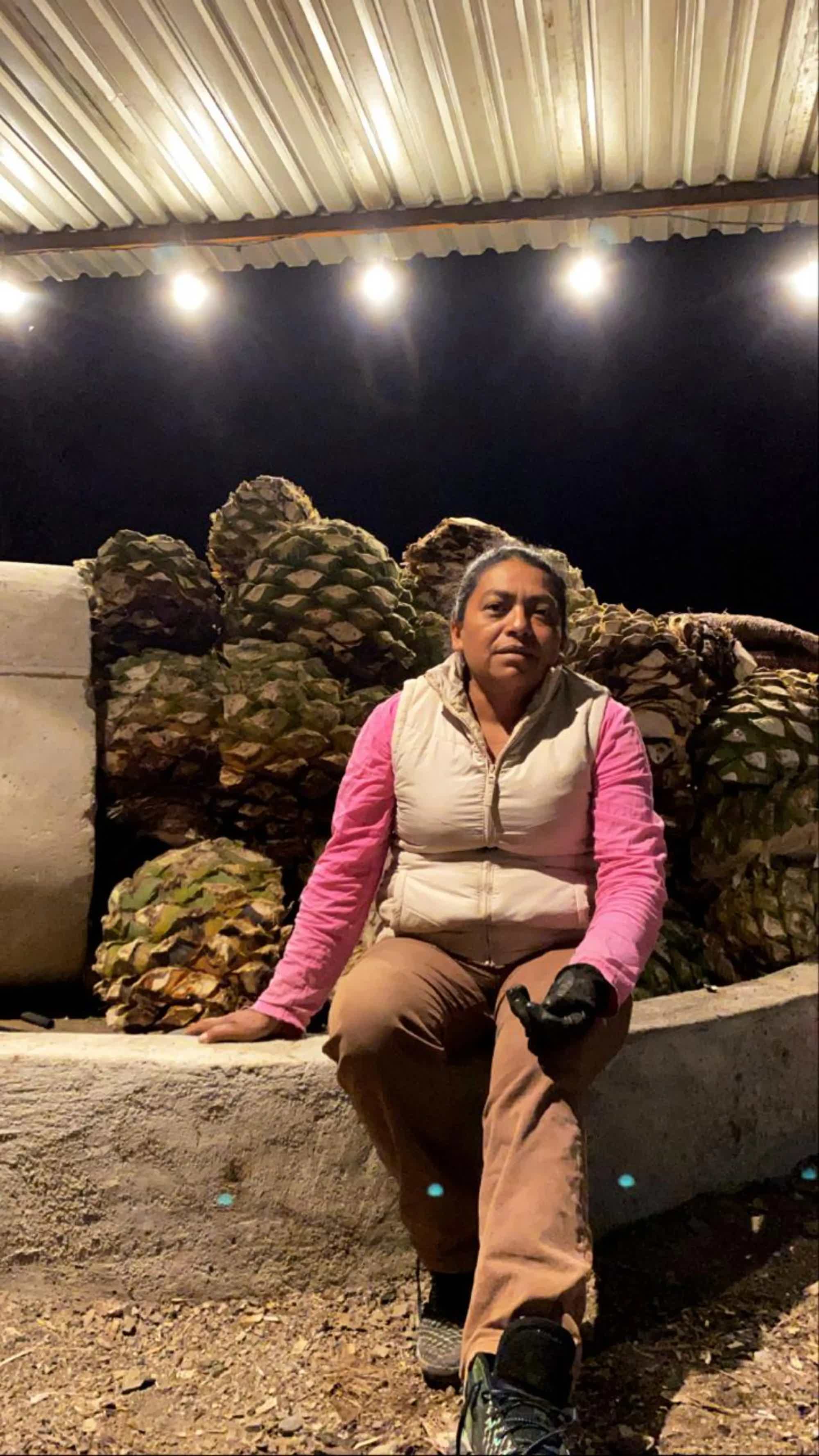 Artesanal Ensamble Endemico Destilado de Agave Tradicional 50.2% 0.7L, Spirits
