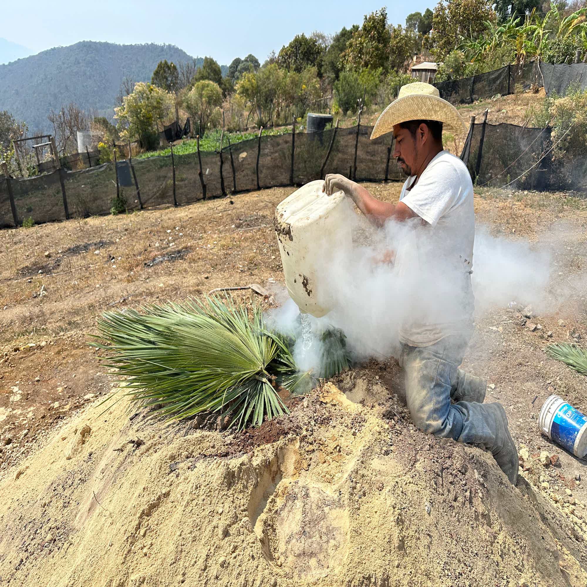 Artesanal Papalote Destilado de Agave Tradicional 50.4% 0.7L, Spirits