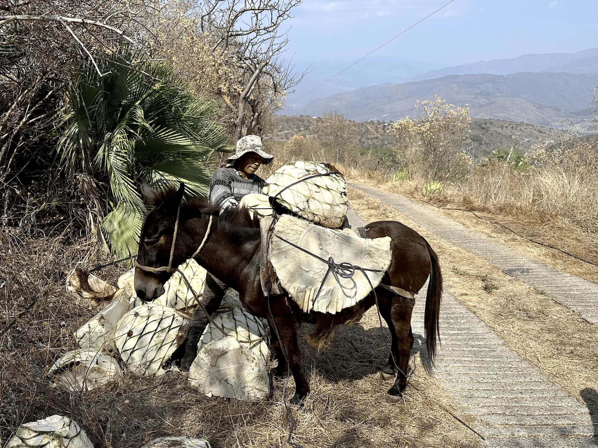 Artesanal Papalote Destilado de Agave Tradicional 50.4% 0.25L, Spirits