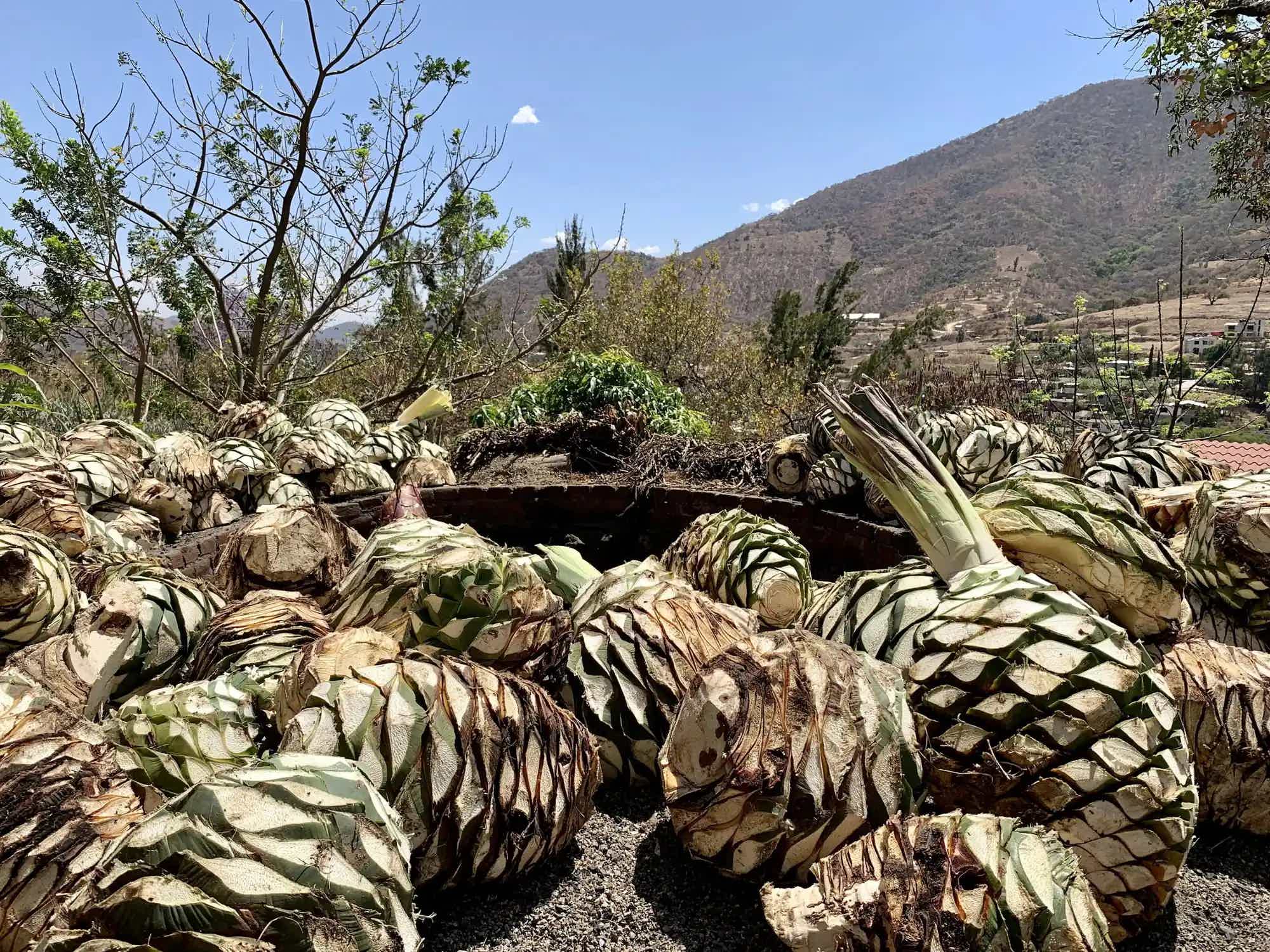 Artesanal Espadin Destilado de Agave Tradicional 49.2% 0.7L, Spirits