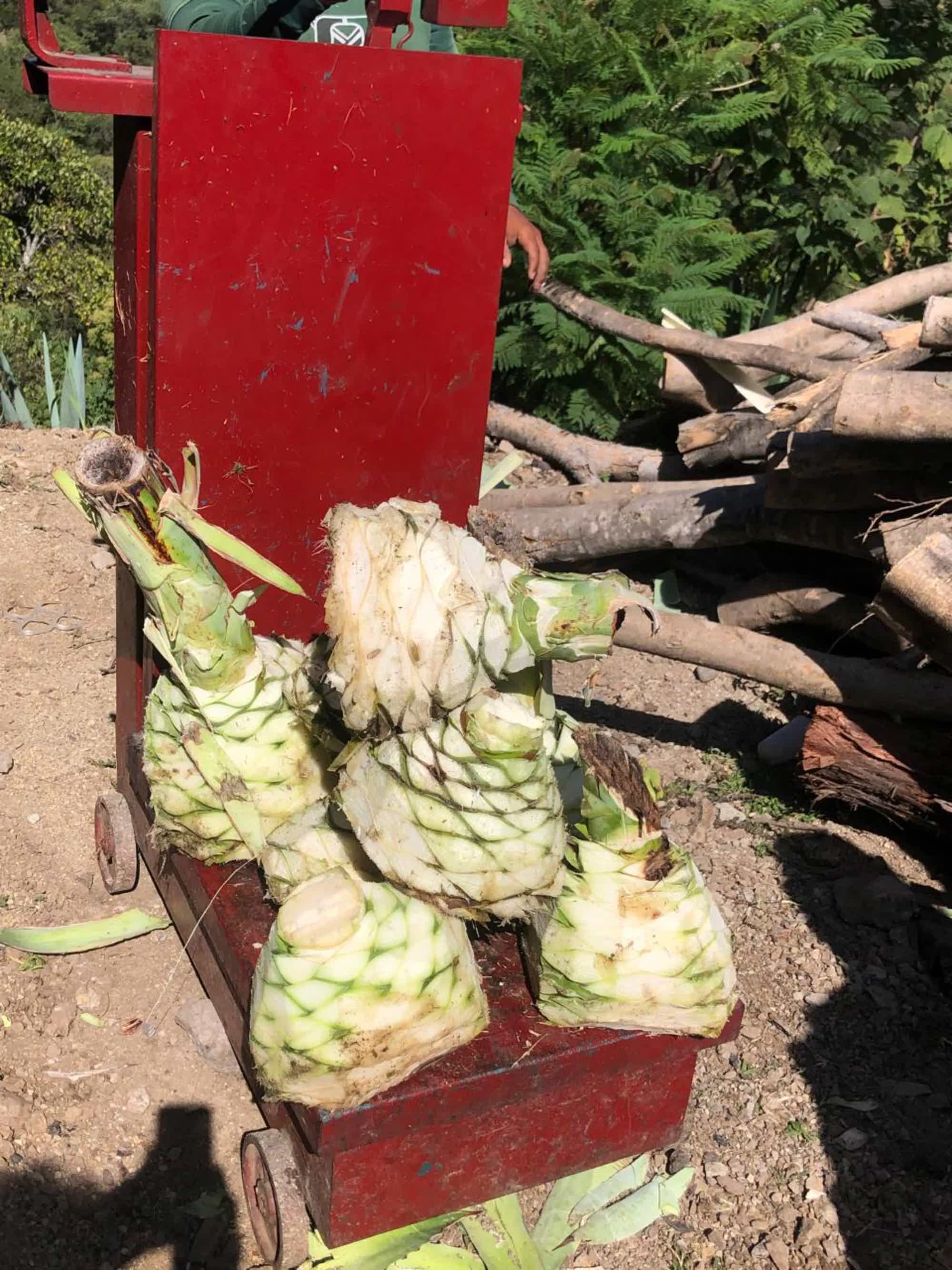 Artesanal Tobala Destilado de Agave Tradicional 46.2% 0.7L, Spirits