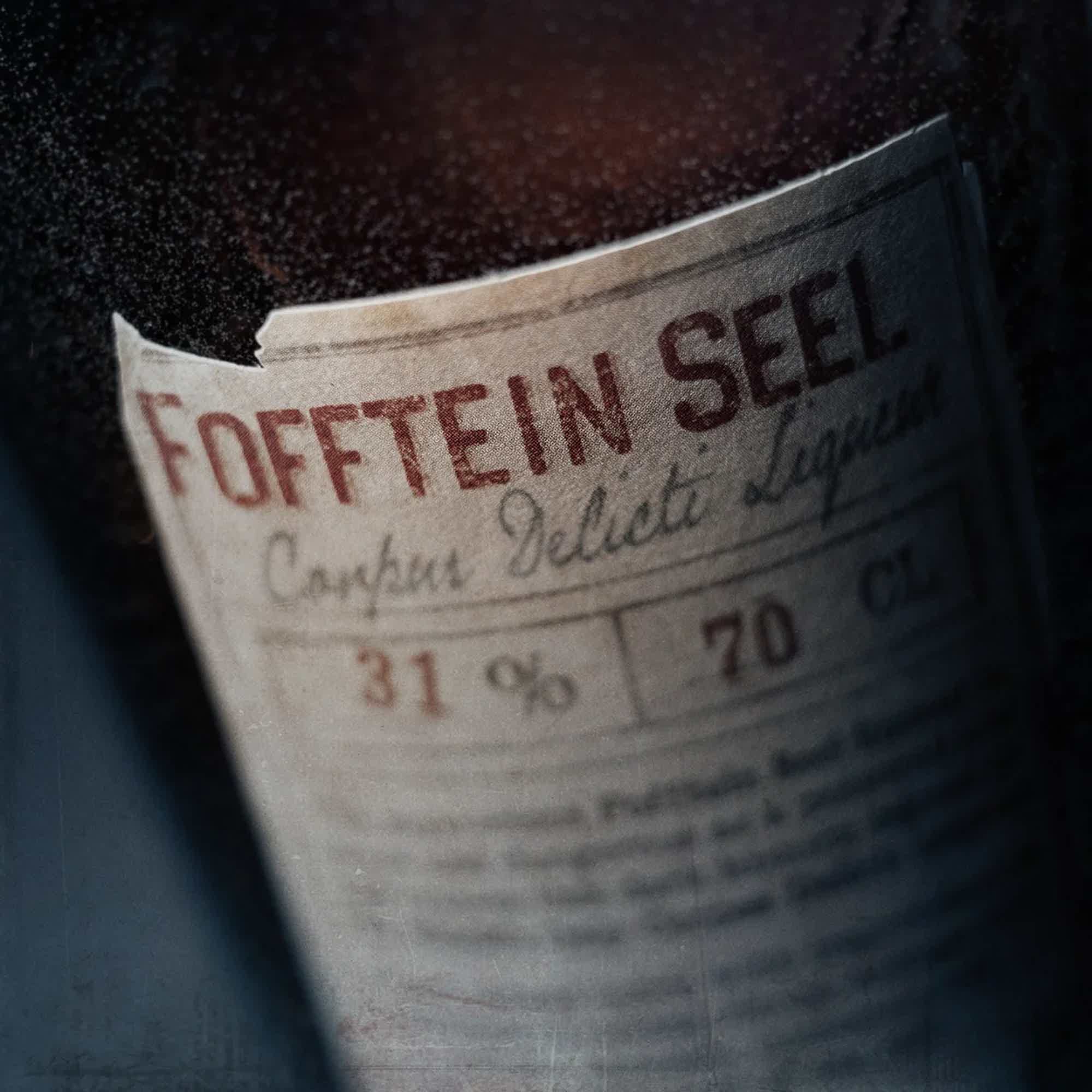 Fofftein Seel 31.0% 0.7L, Spirits