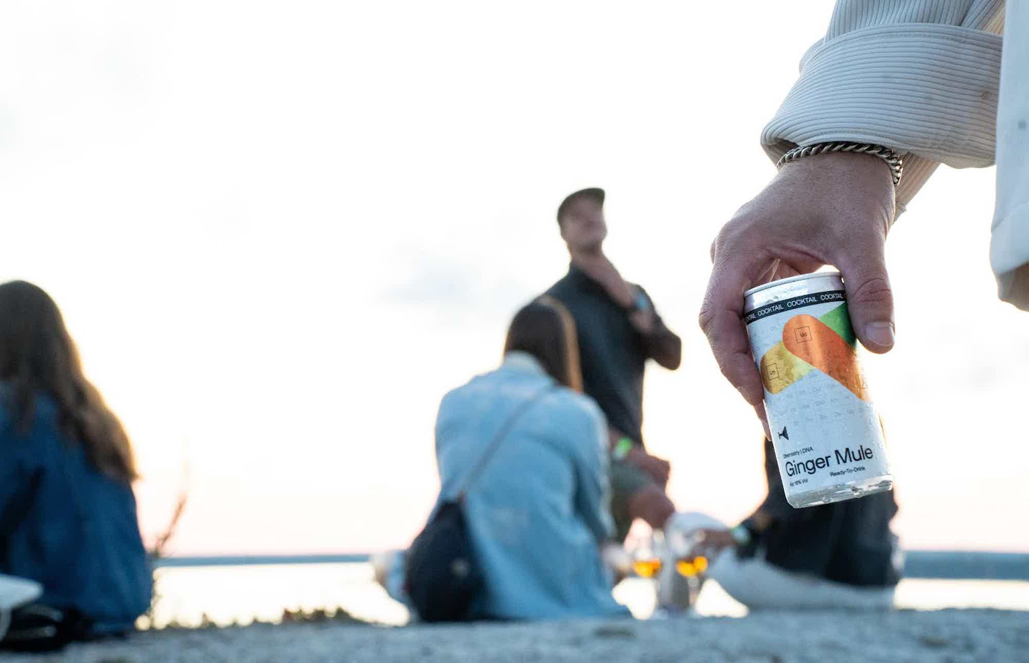 Ginger Mule 10.0% 0.2L, Spirits