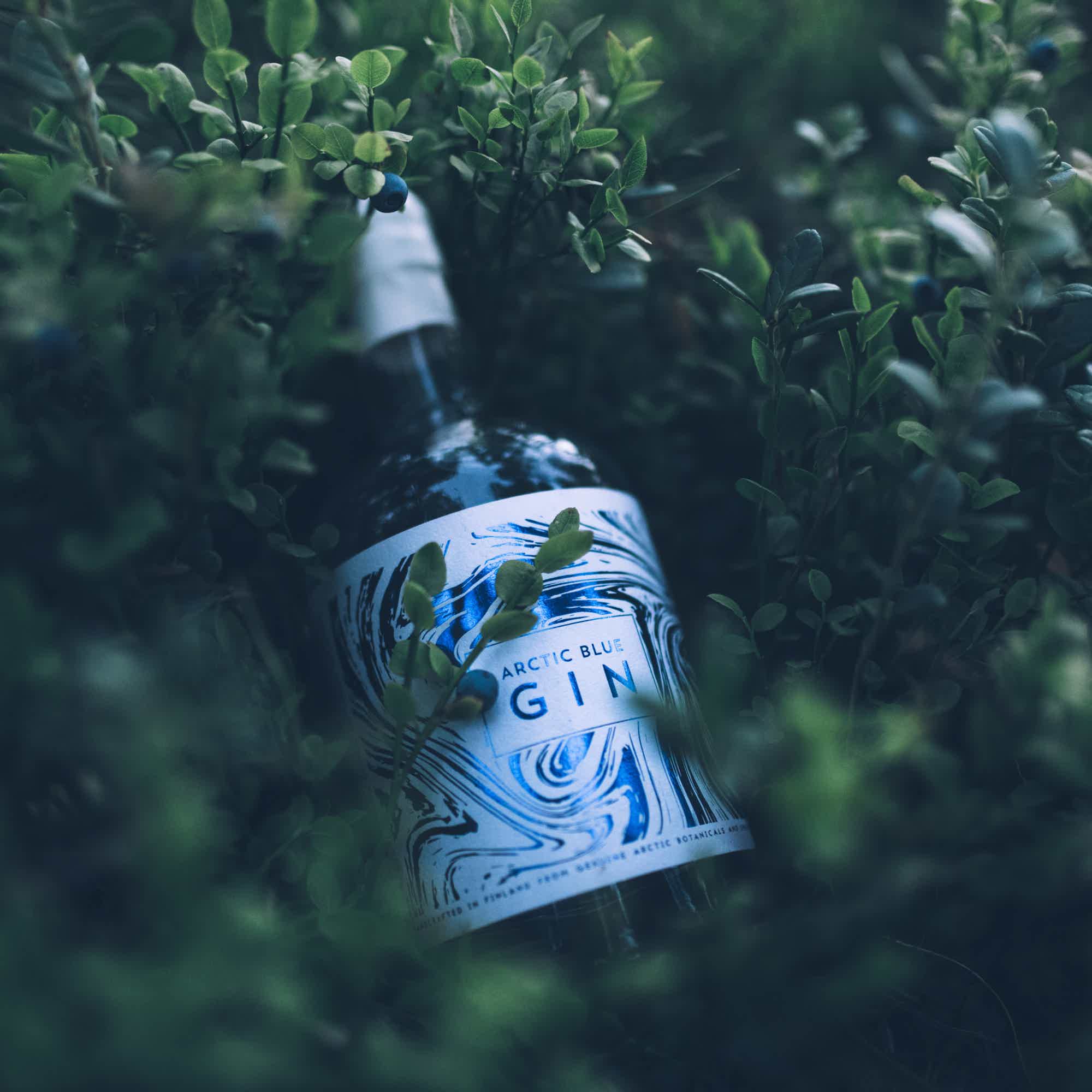 Arctic Blue Gin 46,2% 46.2% 0.5L, Spirits