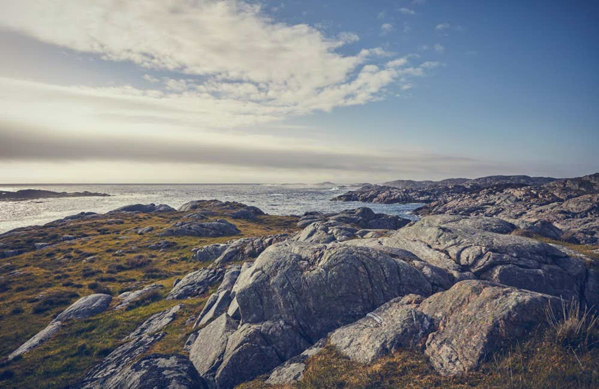 Feddie Ocean Distillery - Feddie Aquavit Blank 44.0% 0.7L, Spirits