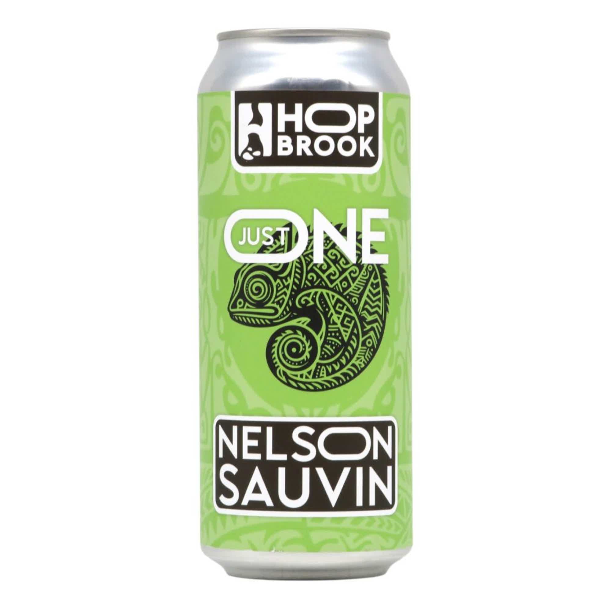 Hop Brook Just One Nelson Sauvin Thiolized Session IPA 0,5l 5.6% 0.5L, Beer