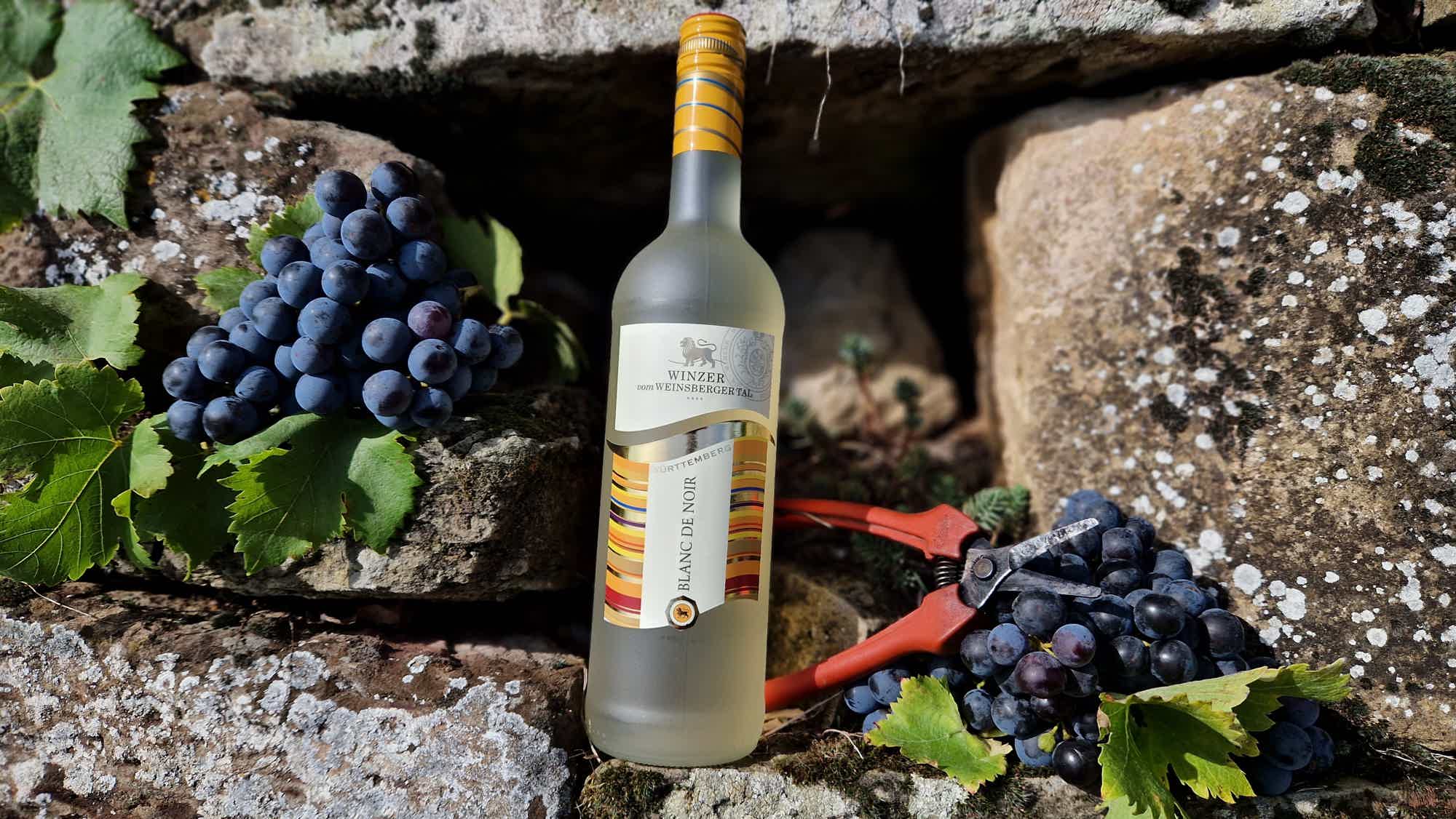 Trollinger Rosé Junge Linie 10.0% 0.75L, Wine