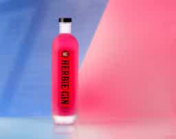Herbie Pink Gin 37.5% 0.7L, Spirits