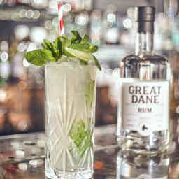 Great Dane White Rum 47.0% 0.7L, Spirits