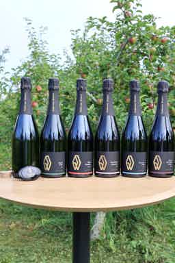 Sensommer kassen: Galadriel 2022, Sigrid 2021, Elmsfeuer 2022, Discover 2023, Ben A Barrique 2018, Bliss 2023, Wine Stopper
