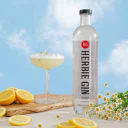 Herbie Export Gin 40.0% 0.7L, Spirits