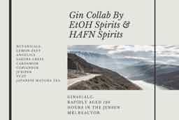 Limited Rapidly aged Gin 43.0% 0.5L, Spirits