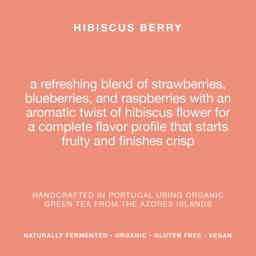 Hibiscus Berry 6% ABV - 6 Pack: Hibiscus Berry - Single can