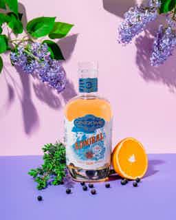 GinDome Admiral Barrel Aged Gin 50.0% 0.5L, Spirits