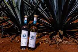 Tequila Agavem Blanco 40.0% 0.7L, Spirits