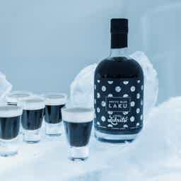 Arctic Blue Laku 21% 500ml 21.0% 0.5L, Spirits