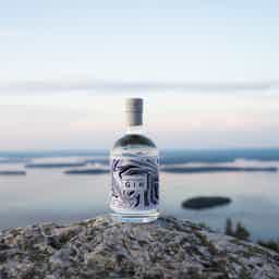 Arctic Blue Gin 46,2% 46.2% 0.5L, Spirits