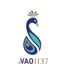 aVAO 1137 39.0% 0.7L, Spirits