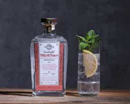 TREVETHAN GRAPEFRUIT AND LYCHEE CORNISH GIN 70CL 40.0% 0.7L, Spirits