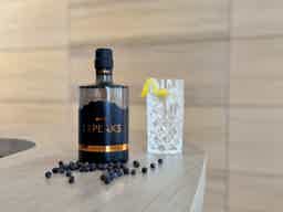 32PEAKS Dry Gin aus Liechtenstein 43.0% 0.5L, Spirits