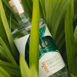SEEKERS MEKONG DRY GIN 41.3% 0.7L, Spirits