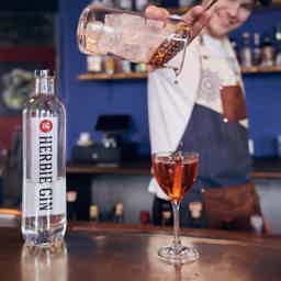 Herbie Export Gin 40.0% 0.7L, Spirits