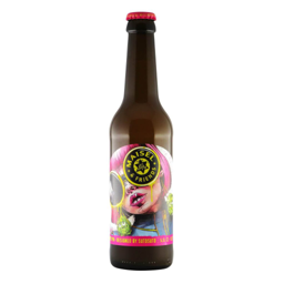 Maisel & Friends Artbeer #6 Hazy IPA 0,33l 5.5% 0.33L, Beer