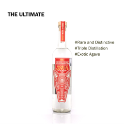 Mezcal Noble Coyote - Jabalí | 70cl 48% vol 48.0% 0.7L, Spirits