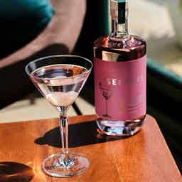 SEEKERS LYCHEE MARTINI 17.5% 0.7L, Spirits