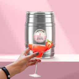 Party Bundle: Strawberry Daiquiri Party Keg, Gin Garden, Mojito, HEIDELL ROSE PETAL VODKA