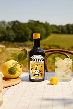 Botivo Botanical Aperitivo 0.0% 0.5L, Non alcohol