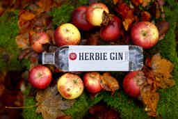 Herbie Export Gin 40.0% 0.7L, Spirits