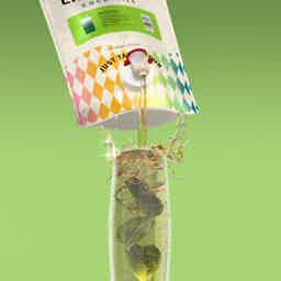 Mojito 1.5L Pouch 10.0% 1.5L, Spirits