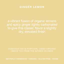 Lemon Ginger 6% ABV - 6 Pack: Lemon Ginger  - Single can