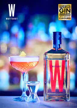 WATTSHOT PREMIUM FLAVOURED GIN 70CL 37.5% 0.7L, Spirits