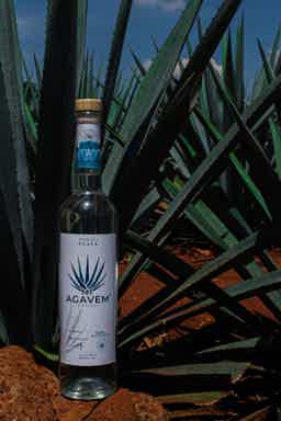 Tequila Agavem Blanco 40.0% 0.7L, Spirits
