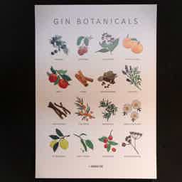 Gin Poster